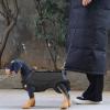 Senior Pet Lifting Harness, Support Vest, Escape-Proof, Reflective view 3
