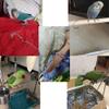 Adjustable Parrot Restraint Device view 2