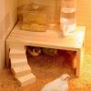 Hamster Jumping Platforms and Climbing Activity Toy view 2