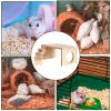 Hamster Jumping Platforms and Climbing Activity Toy view 4