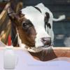 Baby Goat Feeding Bottle - Multifunctional Nipple Bottle view 3