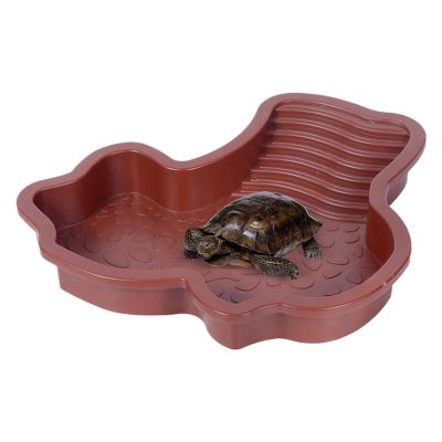 Reptile Soaking Pool with Ramp