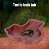 Reptile Soaking Pool with Ramp view 2