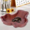 Reptile Soaking Pool with Ramp view 3