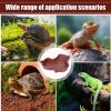 Reptile Soaking Pool with Ramp view 4