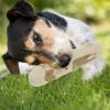 Durable Dog Chew Toy - Hardwood Puppy Teether view 3