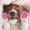 Anti-Slip Paw Protection for Dogs - 4 Pieces view 4