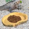 Turtle Feeding Bowl view 3