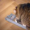 Beeztees Seal, Scratching Board, Cardboard, Blue, 45x13x2 cm view 2
