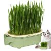 Cat Grass Planter Box view 1