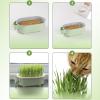 Cat Grass Planter Box view 4