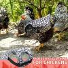 Chicken Saddle Cover view 2