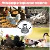 Chicken Saddle Cover view 4