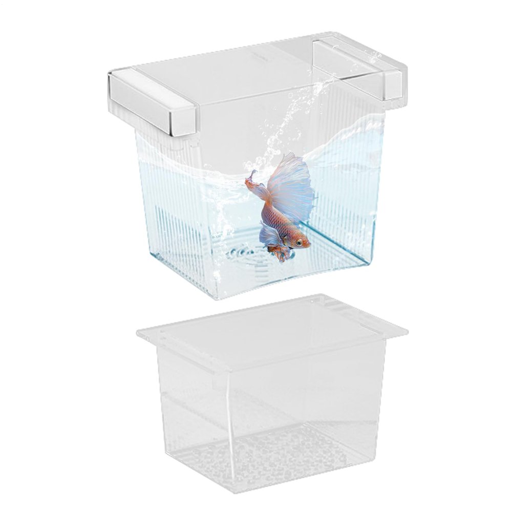 Fish Breeding Box