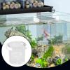 Niesel Breeding Box for Aquarium view 2
