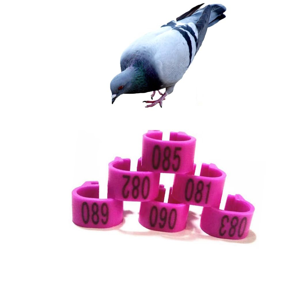 HJHLYJQBF Pigeon and Poultry Leg Bands, Purple, 001–100
