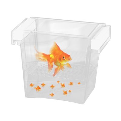 Fish Breeding Box with Net Division