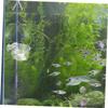 HAPINARY Acrylic Aquarium Feeder view 4