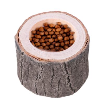 Generic Turtle Water Bowl - Reptile Feeding Dish