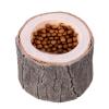 Generic Turtle Water Bowl - Reptile Feeding Dish view 1