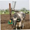 Automatic Water Dispenser Cow Water Bowl for Sheep, Green Plastic view 3