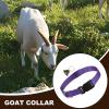 Adjustable Collar for Goats view 2