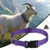 Adjustable Collar for Goats view 3