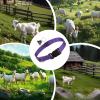Adjustable Collar for Goats view 4