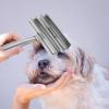 Portable Stainless Steel Horse Hair Removal Brush, Silver view 4