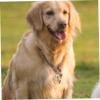 FUTUREORYY Brass Dog Bells, Fine Craftsmanship, 2 Pcs for Pet Collars, Durable and Lightweight, for DIY Crafts view 2