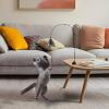 Interactive Cat Teaser Wand with Bell view 4
