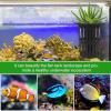 Aquarium Plant Holder view 2