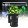 Aquarium Plant Holder view 4