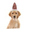 iplusmile Christmas Pet Hat for Cats and Small Dogs view 2