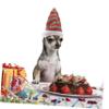 iplusmile Christmas Pet Hat for Cats and Small Dogs view 4