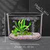 Lijiaxiuyc-101 Small Round Acrylic Aquarium, Clear, Drop-Resistant view 2