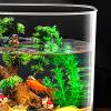 Lijiaxiuyc-101 Small Round Acrylic Aquarium, Clear, Drop-Resistant view 3