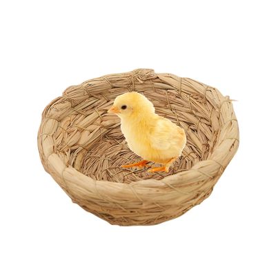 Generic Birdhouse for Breeding - Flat Base Hatch Cage House