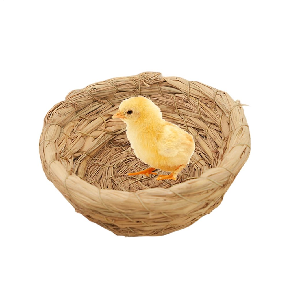 Generic Birdhouse for Breeding - Flat Base Hatch Cage House