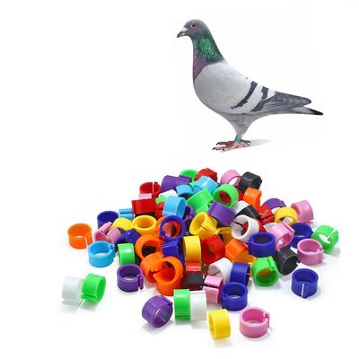 HJHLYJQBF Pigeon Leg Rings, 101–200, Mixed Colors
