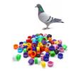 HJHLYJQBF Pigeon Leg Rings, 101–200, Mixed Colors view 1