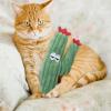 Catnip Cactus Plush Toy for Cats view 2
