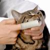 Finger Toothbrush for Dogs view 2
