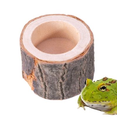 LearnLyrics Turtle Water Bowl - Reptile Water Dish