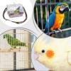 Bird Carrier, Travel Cage & Carry Box with Removable Tray and Handle view 4