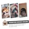 Abaodam Hamster House with Hideaway Function, Sturdy Natural Wood Small Animal House, Versatile Guinea Pig and Squirrel House view 4