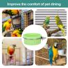 Bird Feeder & Water Dispenser view 3