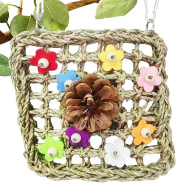 Colorful Natural Budgie Toy