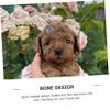 TOYANDONA 15-Piece Pet Bone Hair Clips view 3