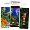 YARNOW 5-Piece Fish Feeder with Suction Cup view 4